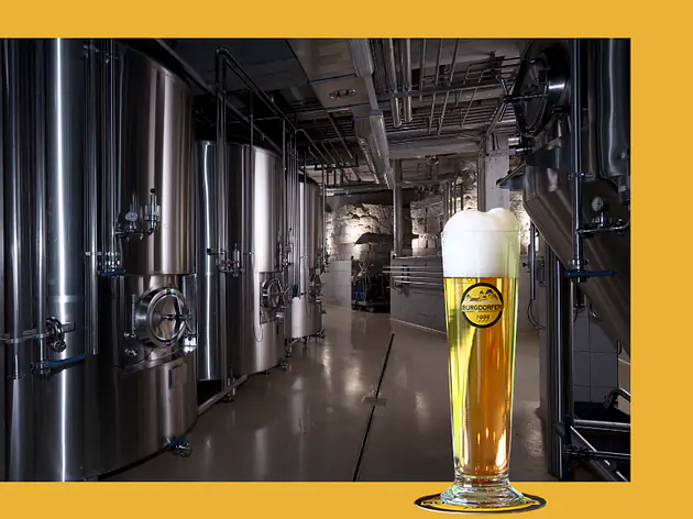 Burgdorfer Handball Emme